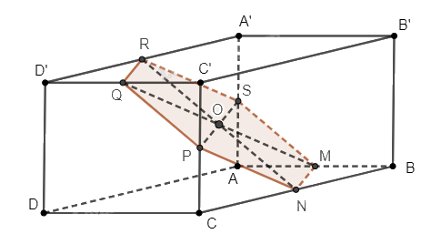 Giải bài 42 trang 113 sách bài tập toán 11 - Cánh diều 2