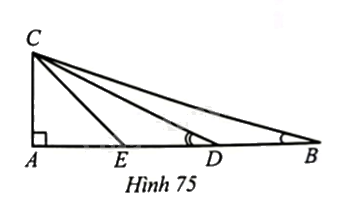 Giải bài 42 trang 76 sách bài tập toán 8 – Cánh diều 2