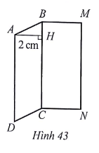 Giải Bài 43 trang 117 sách bài tập Toán 6 - Cánh diều 1