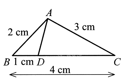 Giải bài 43 trang 76 sách bài tập toán 8 – Cánh diều 2