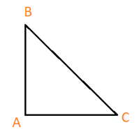 Giải bài 44 trang 99 sách bài tập Toán 6 – Cánh Diều Tập 2 2
