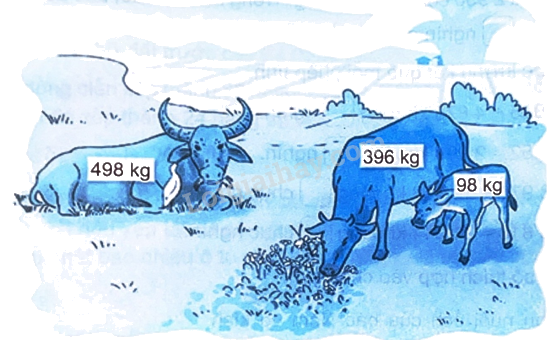 Giải bài 45: Thực hành và trải nghiệm ước lượng trong tính toán trang 29 vở bài tập Toán 4 - Kết nối tri thức với cuộc sống 3