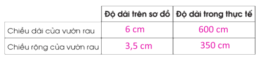 Giải bài 46: Luyện tập chung trang 114, 115, 116 vở bài tập Toán 5 - Cánh diều 5 3