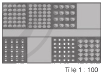 Giải bài 46: Luyện tập chung trang 114, 115, 116 vở bài tập Toán 5 - Cánh diều 7