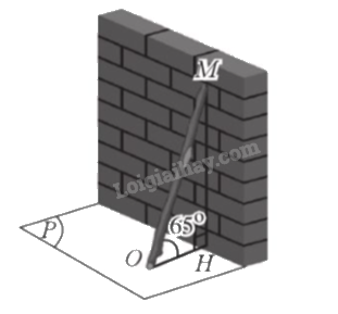 Giải bài 46 trang 110 sách bài tập toán 11 - Cánh diều 1