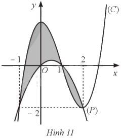 Giải bài 46 trang 26 sách bài tập toán 12 - Cánh diều 1