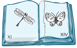 Giải bài 47: Làm quen với chữ số La Mã (tiết 1) trang 10 vở bài tập Toán 3 - Kết nối tri thức với cuộc sống 3 1