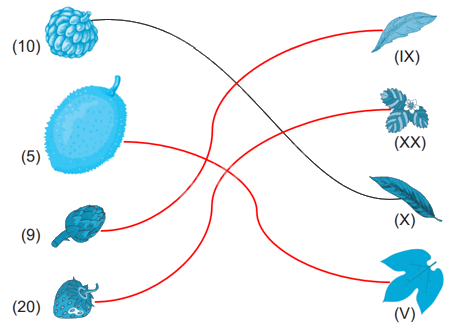 Giải bài 47: Làm quen với chữ số La Mã (tiết 1) trang 10 vở bài tập Toán 3 - Kết nối tri thức với cuộc sống 4