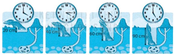 Giải bài 47: Luyện tập chung (tiết 2) trang 35 Vở bài tập toán 2 - Kết nối tri thức với cuộc sống 3 1