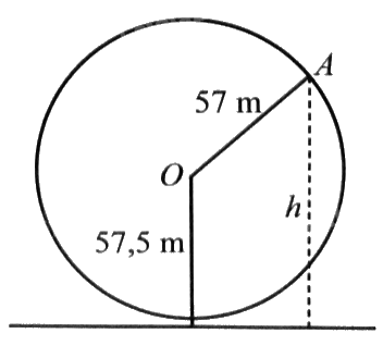 Giải bài 47 trang 23 sách bài tập toán 11 - Cánh diều 1