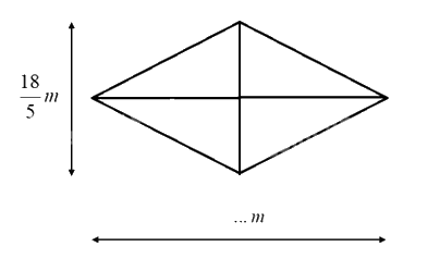 Giải bài 47 trang 42 sách bài tập Toán 6 – Cánh Diều Tập 2 0 1