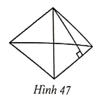 Giải Bài 48 trang 118 sách bài tập Toán 6 - Cánh diều 1