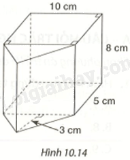 Giải bài 5 (10.15) trang 99 vở thực hành Toán 7 tập 2 1