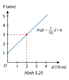 Giải bài 5.17 trang 16 SGK Toán 8 - Cùng khám phá 1