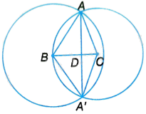 Giải bài 5.26 trang 68 sách bài tập toán 9 - Kết nối tri thức tập 1 2