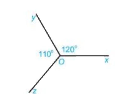 Giải bài 5 (3.36) trang 54 vở thực hành Toán 7 1