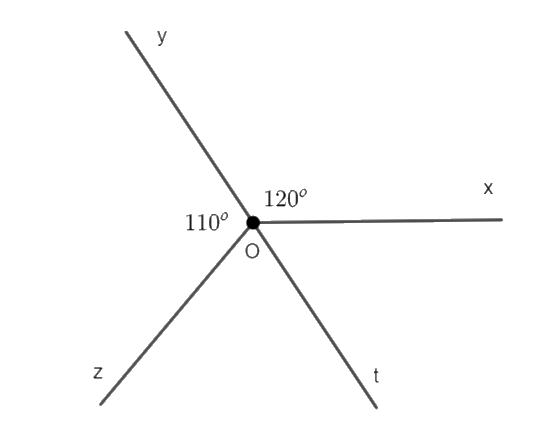 Giải bài 5 (3.36) trang 54 vở thực hành Toán 7 3