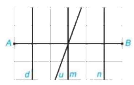 Giải bài 5 (4.27) trang 74 vở thực hành Toán 7 1