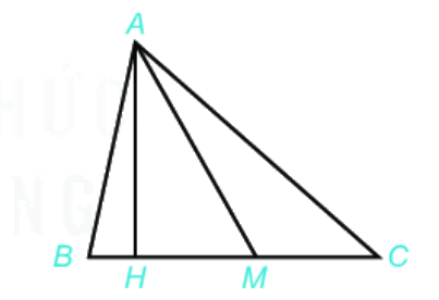 Giải bài 5 (8.29) trang 57 vở thực hành Toán 6 1