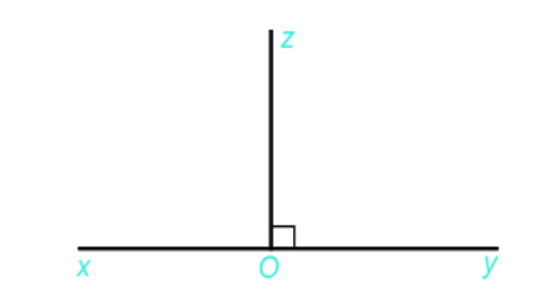 Giải bài 5 (8.43) trang 63 vở thực hành Toán 6 1