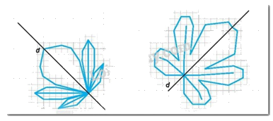 Giải Bài 5.8 trang 82 sách bài tập Toán 6 Kết nối tri thức với cuộc sống 3