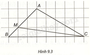 Giải bài 5 (9.5) trang 68 vở thực hành Toán 7 tập 2 2