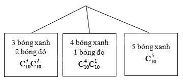 Giải bài 5 trang 100 sách bài tập toán 11 - Chân trời sáng tạo tập 2 2
