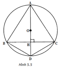 Giải bài 5 trang 100 vở thực hành Toán 9 2