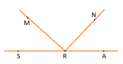 Giải bài 5 trang 101 sách bài tập Toán 6 - Chân trời sáng tạo Tập 2 1
