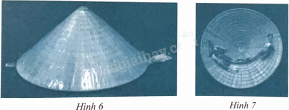 Giải bài 5 trang 103 sách bài tập toán 9 - Chân trời sáng tạo tập 2 1