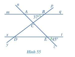 Giải bài 5 trang 108 SGK Toán 7 tập 1 - Cánh diều 1