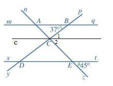Giải bài 5 trang 108 SGK Toán 7 tập 1 - Cánh diều 3