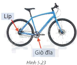 Giải bài 5 trang 109, 110 vở thực hành Toán 9 1