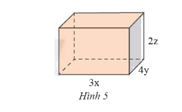 Giải Bài 5 trang 11 SGK Toán 8 tập 1 – Chân trời sáng tạo 1
