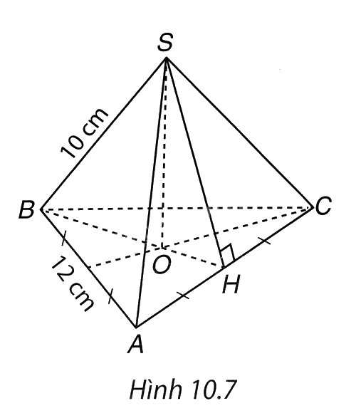Giải bài 5 trang 112 vở thực hành Toán 8 tập 2 1