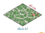 Giải bài 5 trang 115 SGK Toán 8 tập 1 - Cánh diều 1