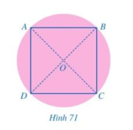 Giải bài 5 trang 119 SGK Toán 8 tập 1 - Cánh diều 1