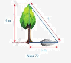 Giải bài 5 trang 120 SGK Toán 8 tập 1 - Cánh diều 1