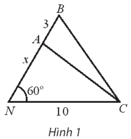 Giải bài 5 trang 19 SBT toán 10 - Chân trời sáng tạo 1