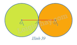 Giải bài 5 trang 24 Chuyên đề học tập Toán 11 Cánh diều 1