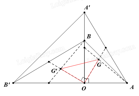Giải bài 5 trang 29 Chuyên đề học tập Toán 11 Chân trời sáng tạo 2