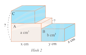 Giải Bài 5 trang 35 SGK Toán 8 tập 1 – Chân trời sáng tạo 1