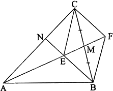 Giải bài 5 trang 42 sách bài tập toán 8 - Chân trời sáng tạo tập 2 2