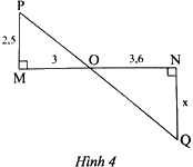 Giải bài 5 trang 49 sách bài tập toán 8 - Chân trời sáng tạo tập 2 1