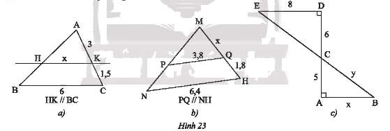 Giải bài 5 trang 50 SGK Toán 8 tập 2– Chân trời sáng tạo 1