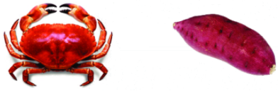 Giải bài 5 trang 55 SGK Toán 6 Chân trời sáng tạo tập 2 1