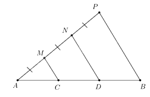 Giải bài 5 trang 57 SGK Toán 8 – Cánh diều 2