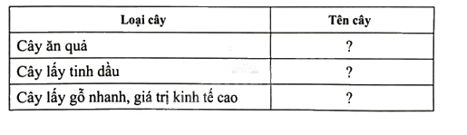 Giải bài 5 trang 6 sách bài tập toán 8 – Cánh diều 1