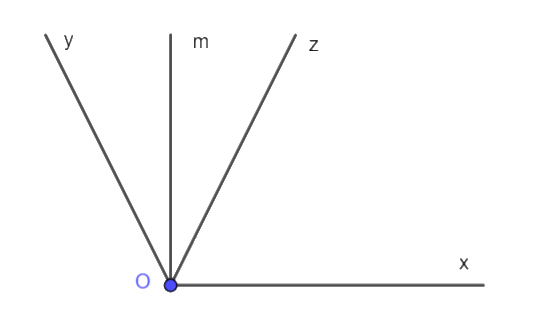 Giải bài 5 trang 61 vở thực hành Toán 6 Q2 1