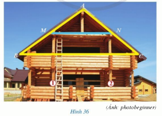 Giải bài 5 trang 65 SGK Toán 8 – Cánh diều 1